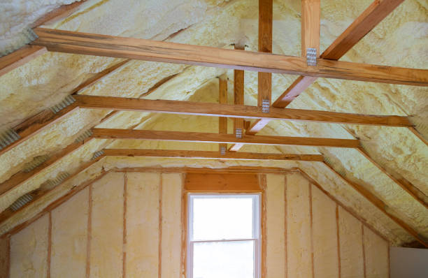 Insulation Inspection Services in Eton, GA