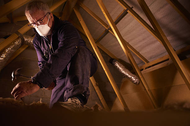 Best Affordable Insulation Services  in Eton, GA